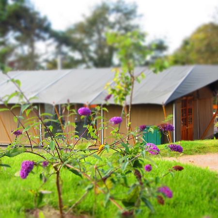 Durrell Wildlife Camp Hotel Trinity ภายนอก รูปภาพ