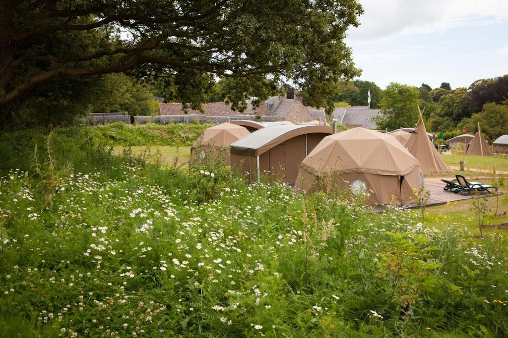 Durrell Wildlife Camp Hotel Trinity ห้อง รูปภาพ