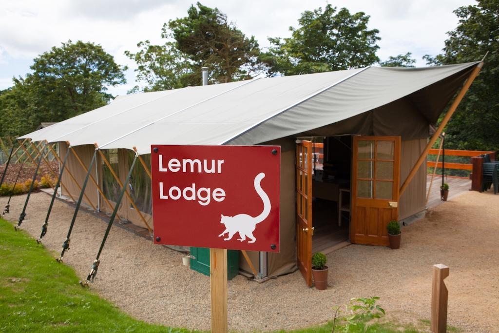 Durrell Wildlife Camp Hotel Trinity ภายนอก รูปภาพ
